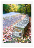 Love You Greetings Autumn Road Card Front of Card Visit us at LoveYouGreetings.com Cards for All Occasions
